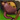 Bloons Tower Defense 4