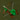 Medieval Rampage 2
