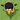 Penguins Attack TD 2