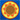Perfect Balance: New Trials