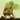 zOMT